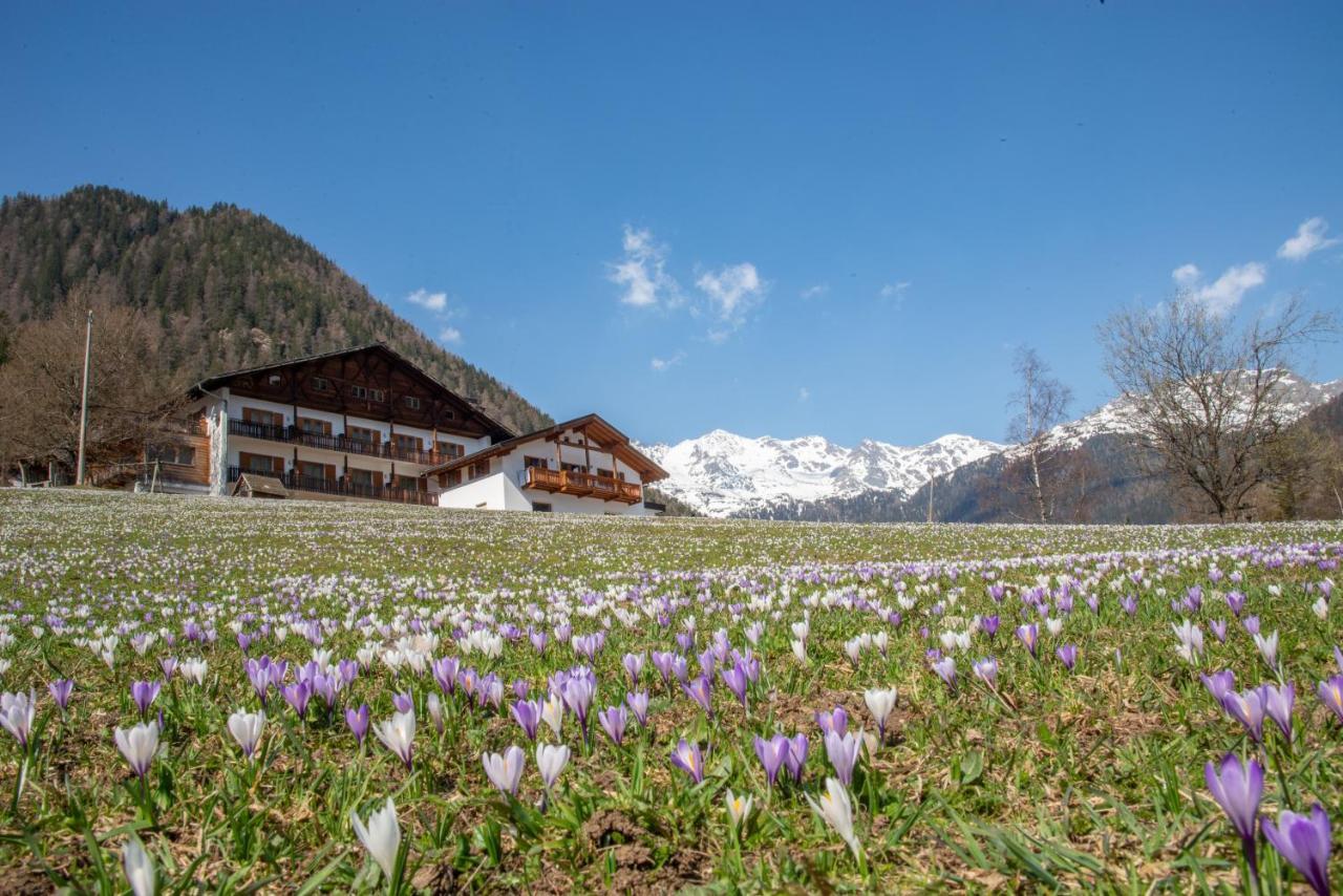 Hotel Ultnerhof Santa Gertrude Εξωτερικό φωτογραφία